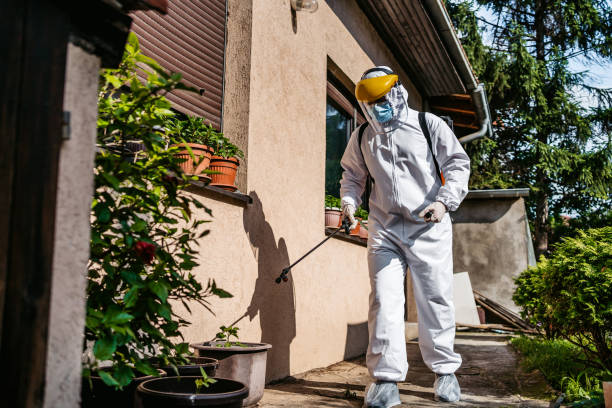 Best Local Pest Control Services  in Tucson, AZ