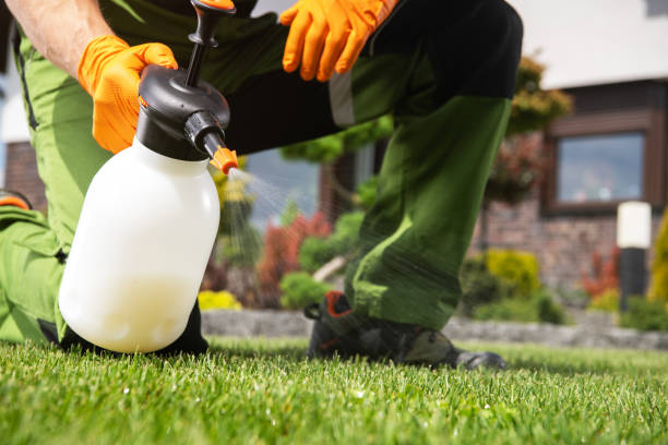 Professional Pest Control in Tucson, AZ