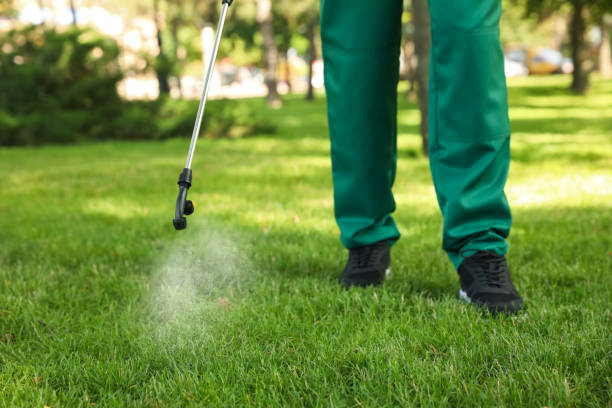 Reliable Tucson, AZ Pest Control Solutions