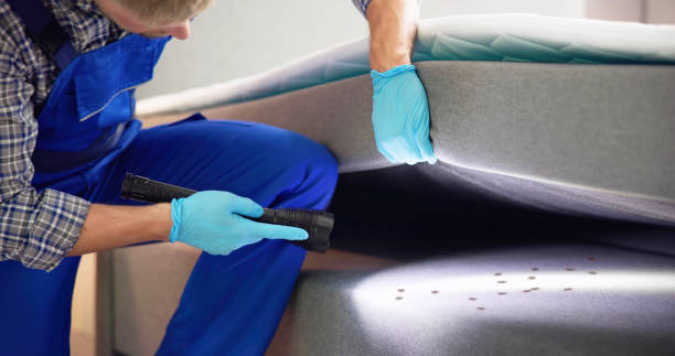 Best Mosquito Control Services  in Tucson, AZ
