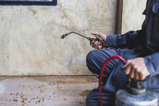 Best Mosquito Control Services  in Tucson, AZ