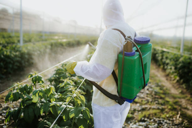 Best Pest Control Near Me  in Tucson, AZ